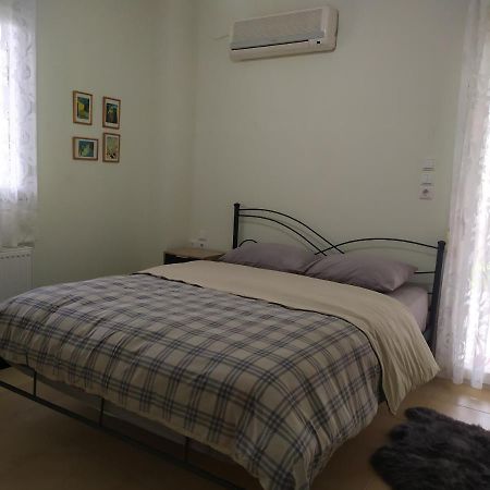 Lily'S Apartment 约阿尼纳 外观 照片