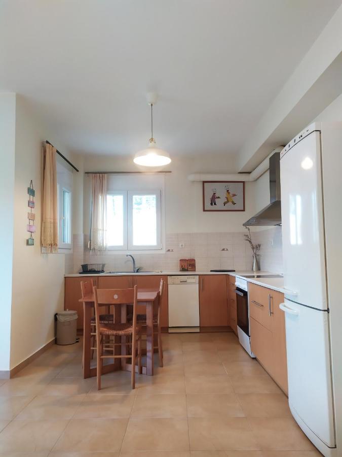 Lily'S Apartment 约阿尼纳 外观 照片